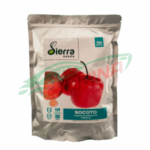 ROCOTO CRIOLLO
