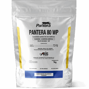 PANTERA 80 WP
