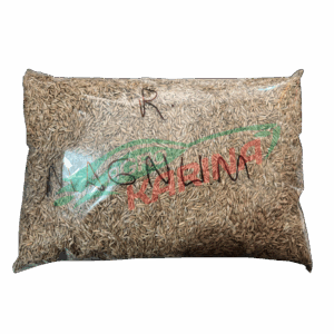 RYE GRASS MAGNUM
