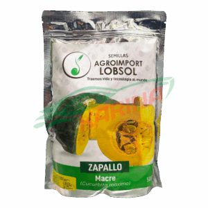Zapallo Macre