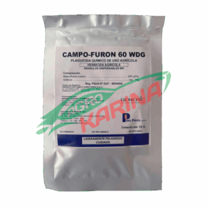 Campo forun 60 WDG