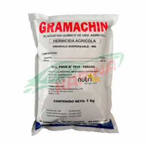 Gramachin