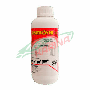 Destroyer