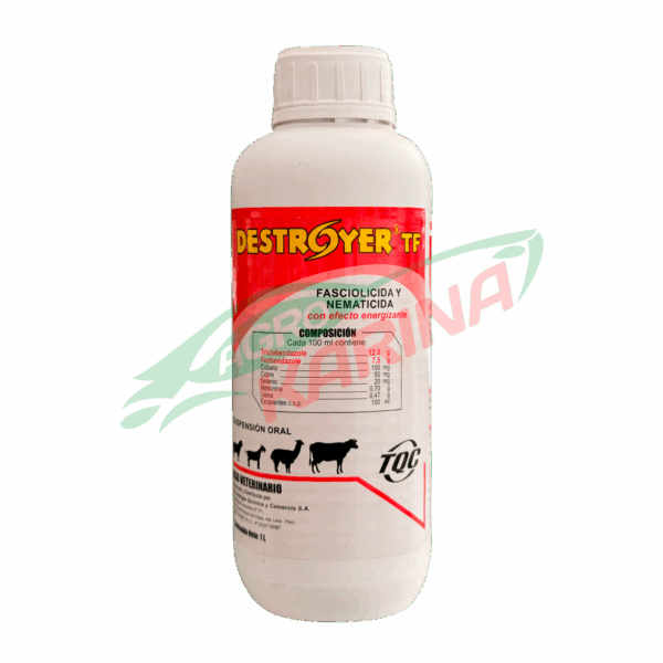 Destroyer