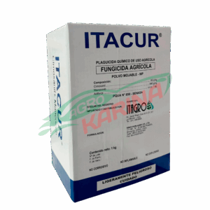 ITACUR