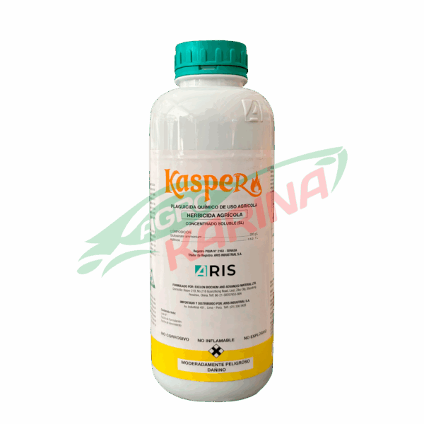 Kasper