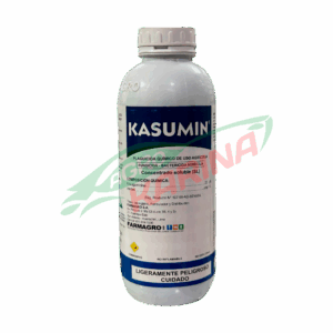 Kasumin