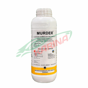 Murder