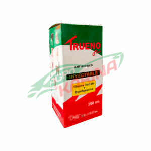 Trueno plus