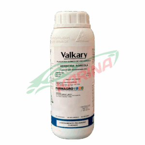 Valkary