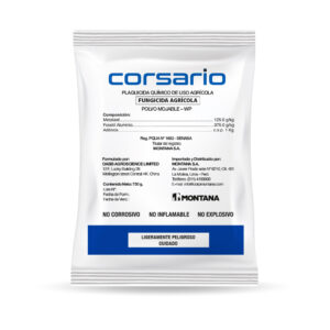 Corsario