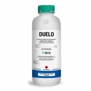 Duelo