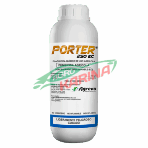 Porter