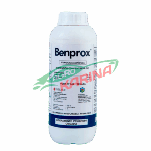 Bemprox