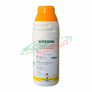Kiperina