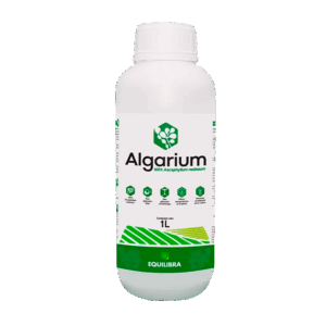 Algarium