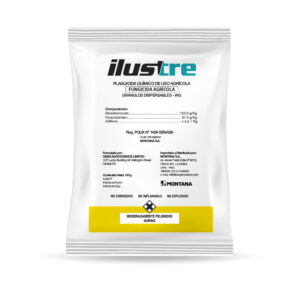 Ilustre