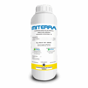 Miterra