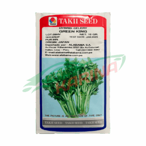 Apio green king