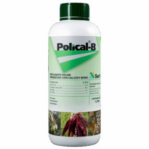 Polical B