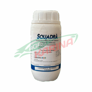 Scuadra