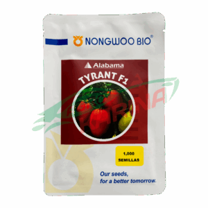 TOMATE HIBRIDO TYRANT