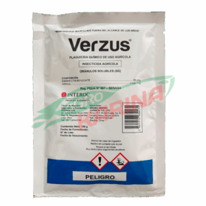 Verzus