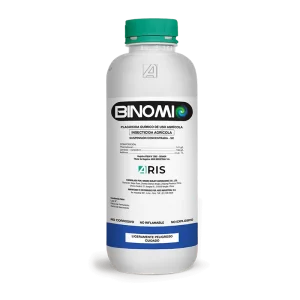 Binomio