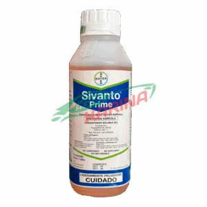 Sivanto prime