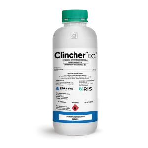 Clincher Ec